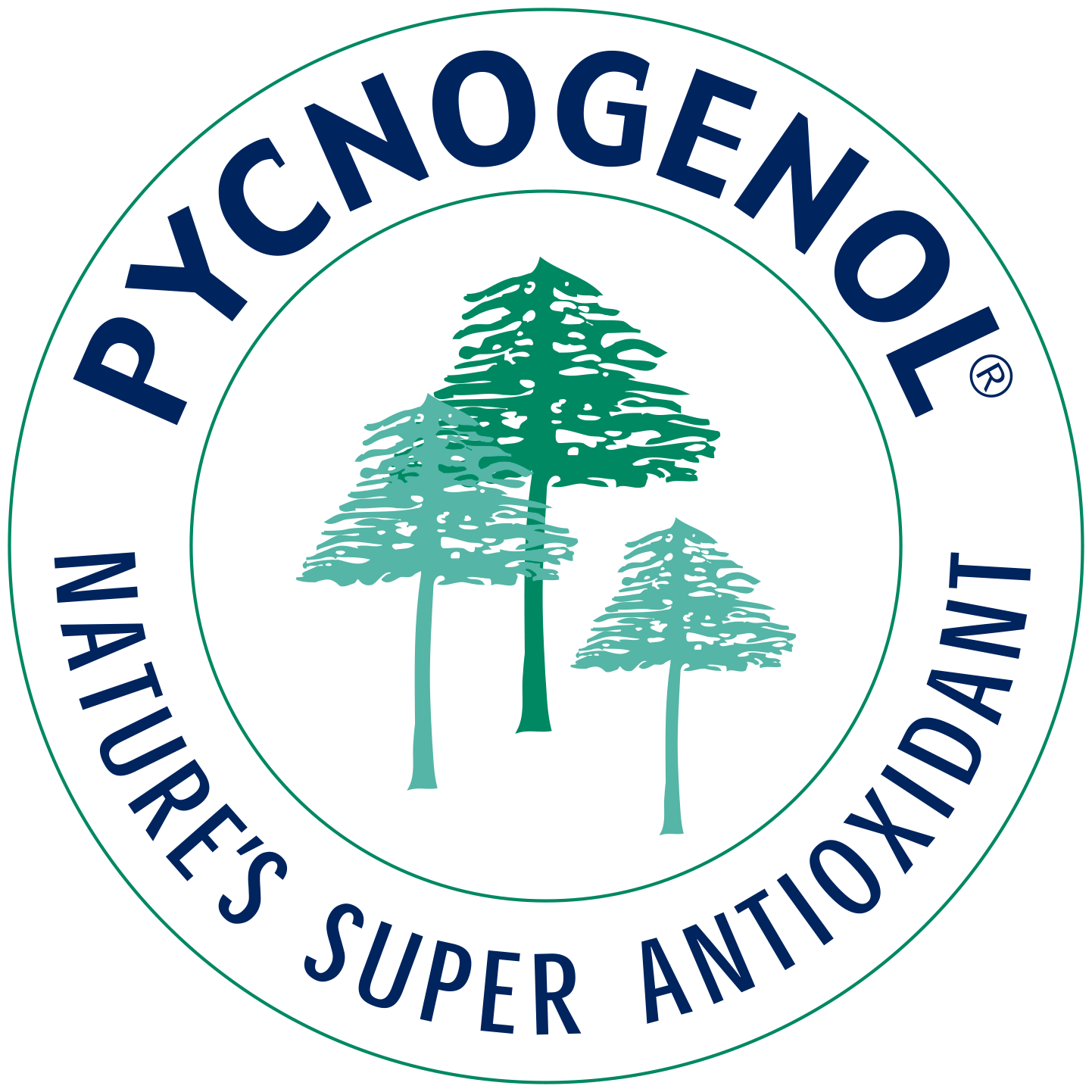 Pycnogenol